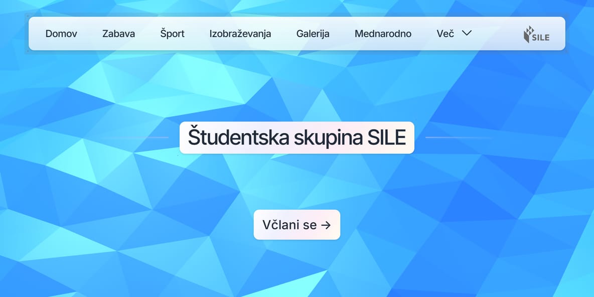 Posnetek naslovnice spletne strani študentske skupine SILE